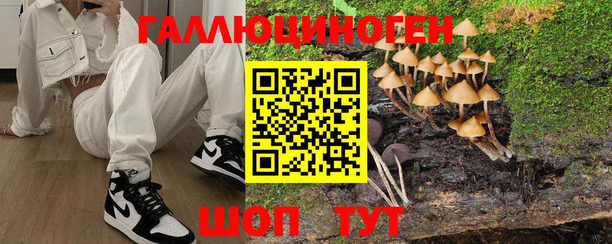 Псилоцибиновые грибы ЛСД  Вход с VPN  Петропавловск-Камчатский 