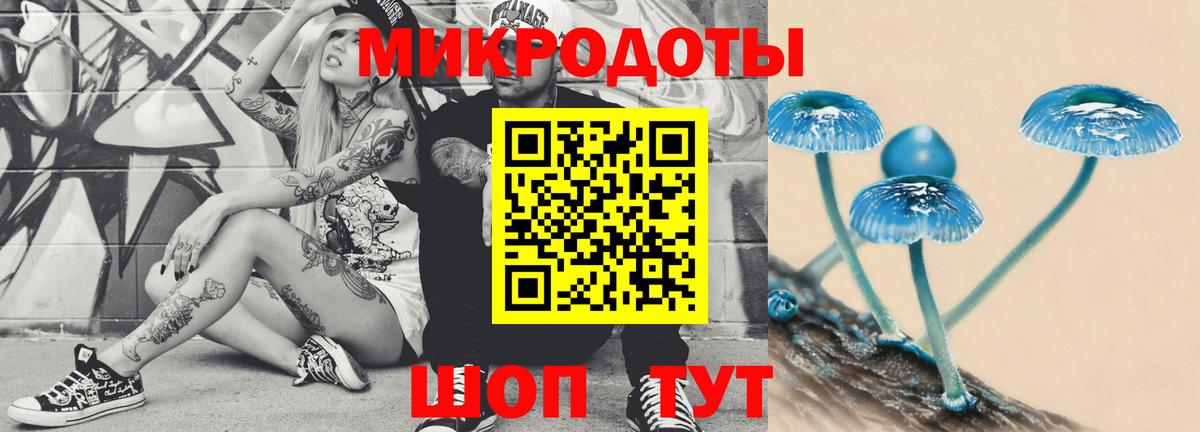Псилоцибиновые грибы MAGIC MUSHROOMS Петропавловск-Камчатский