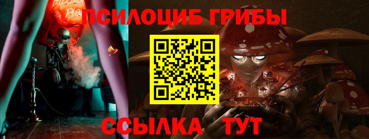 Меф мяу мяу Петропавловск-Камчатский